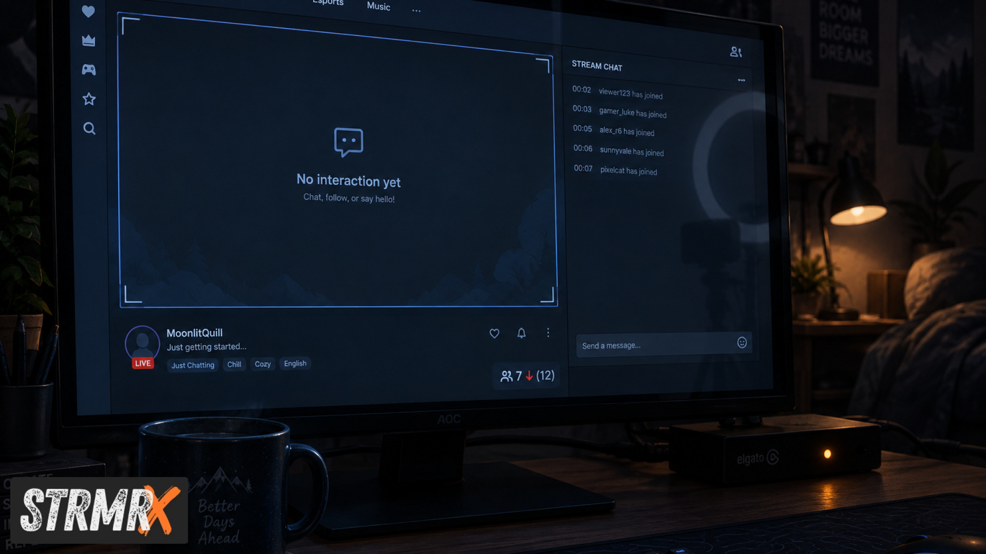Streamer's overlay showing chat bingo game engaging new viewers live